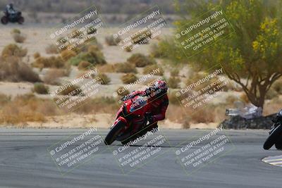 media/Apr-10-2022-SoCal Trackdays (Sun) [[f104b12566]]/Turn 5 Tree of Life (1040am)/